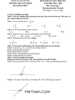 Đề giữa kì 1 Toán 7 năm 2024 - 2025 trường THCS Tân Bình - Hải Dương