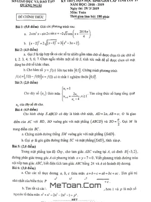 Đề thi học sinh giỏi cấp tỉnh Toán 11 năm 2018 - 2019 sở GD&ĐT Quảng Ngãi