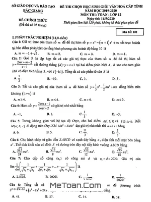Đề thi chọn HSG Toán 12 cấp tỉnh năm học 2019 - 2020 sở GD&ĐT Bắc Giang