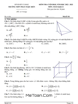 Đề thi cuối kỳ 2 Toán 11 năm 2022 - 2023 trường THPT Phan Ngọc Hiển - Cà Mau