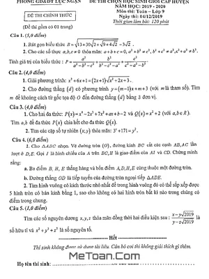 Đề thi chọn HSG cấp huyện Toán 9 năm 2019 - 2020 phòng GD&ĐT Lục Ngạn - Bắc Giang