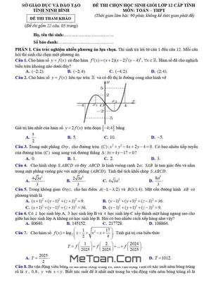 Đề Tham Khảo Thi HSG Toán 12 Cấp Tỉnh Năm 2024 - 2025 Sở GD&ĐT Ninh Bình
