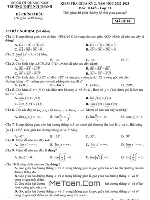 Đề thi giữa học kỳ 2 Toán 11 năm 2022 - 2023 trường THPT Núi Thành - Quảng Nam