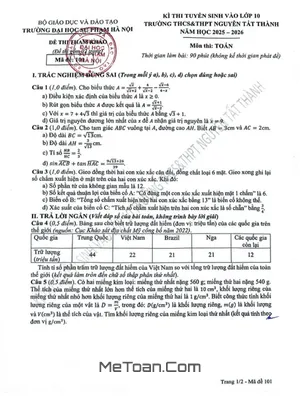 Đề Tham Khảo Toán Vào Lớp 10 Năm 2025 – 2026 Trường Nguyễn Tất Thành Hà Nội