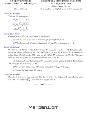 Đề kiểm tra chất lượng Toán 11 cuối năm học 2019 - 2020 Sở GD&ĐT Bắc Ninh