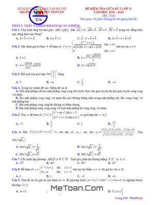 Đề thi giữa HK2 Toán 11 năm 2018 - 2019 trường Newton - Hà Nội