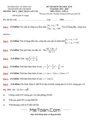 Đề thi học kì 2 Toán 11 năm 2019 - 2020 trường Trần Cao Vân - TP HCM