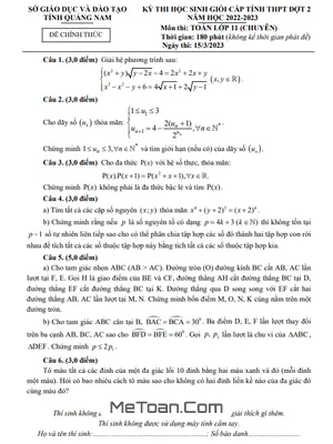 Đề thi chọn HSG tỉnh Toán 11 chuyên đợt 2 năm 2022 - 2023 sở GD&ĐT Quảng Nam