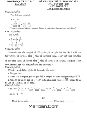 Đề thi học kì 2 Toán lớp 6 năm học 2018 - 2019 Sở GD&ĐT Bắc Giang