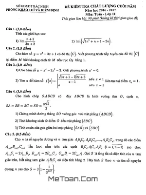 Đề thi HK2 Toán 11 năm 2016 - 2017 Sở GD&ĐT Bắc Ninh - Giải chi tiết