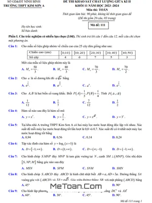 Đề Thi Giữa Kì 2 Toán 11 Năm 2023 - 2024 Trường THPT Kim Sơn A - Ninh Bình