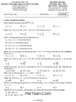 Đề kiểm tra HK1 Toán 10 năm 2023 - 2024 trường Victory - Đắk Lắk