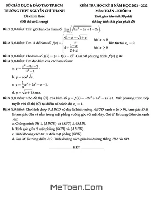 Đề thi học kỳ 2 môn Toán lớp 11 năm 2021 - 2022 trường THPT Nguyễn Chí Thanh - TP. HCM