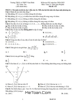 Đề thi học kì 1 Toán 11 năm 2024 - 2025 trường THCS & THPT Vàm Đình - Cà Mau (có đáp án)