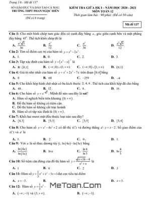 Đề thi giữa HK1 Toán 12 năm 2020 – 2021 trường THPT Phan Ngọc Hiển – Cà Mau
