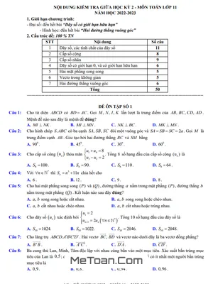 Đề Ôn Tập Giữa Kỳ 2 Toán 11 Năm 2022 - 2023 Trường THPT Việt Đức - Hà Nội
