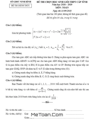 Đề thi HSG Toán THPT cấp tỉnh Ninh Bình năm học 2018 - 2019 có lời giải