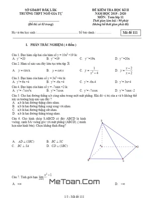 Đề thi HK2 Toán 11 năm học 2019 - 2020 trường THPT Ngô Gia Tự - Đắk Lắk