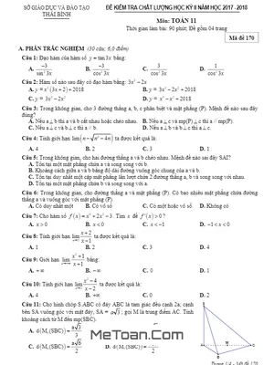 Đề kiểm tra chất lượng học kỳ 2 Toán 11 năm 2017 - 2018 sở GD&ĐT Thái Bình