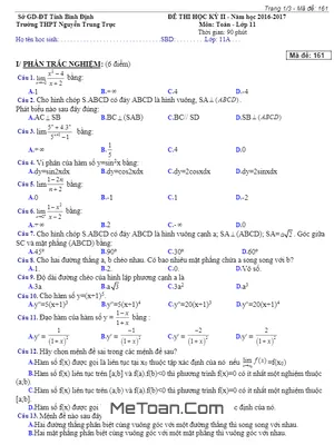 Đề thi HK2 Toán 11 năm học 2016 - 2017 trường THPT Nguyễn Trung Trực - Bình Định