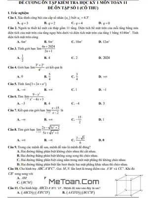 Đề cương ôn tập HK1 Toán 11 năm 2025 – 2026 trường THPT Linh Trung – TP HCM