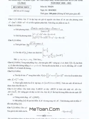 Đề thi HSG Toán 11 cấp tỉnh năm 2020 - 2021 sở GD&ĐT Cà Mau
