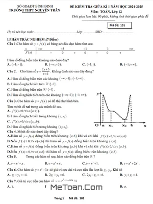 Đề Thi Giữa Kì 1 Toán 12 Năm 2024 - 2025 Trường THPT Nguyễn Trân - Bình Định