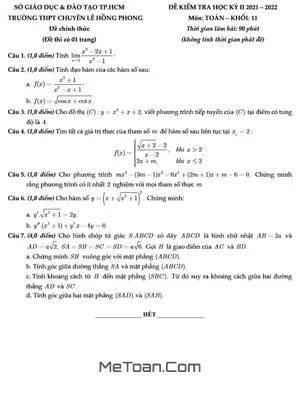 Đề thi học kỳ 2 Toán 11 năm 2021 - 2022 trường THPT chuyên Lê Hồng Phong - TP.HCM