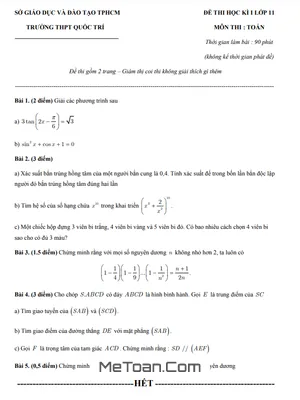 Đề thi học kì 1 Toán 11 năm 2019 - 2020 trường THPT Quốc Trí - TP HCM (Có đáp án)