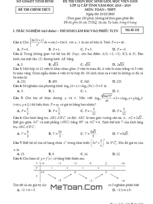 Đề thi chọn HSG Toán 12 cấp tỉnh Ninh Bình năm 2018 - 2019 (Mã đề 132)