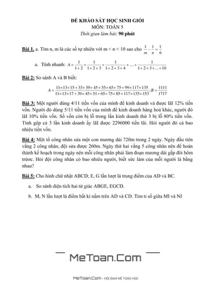 Bộ 10 Đề Thi Khảo Sát Học Sinh Giỏi Toán Lớp 5