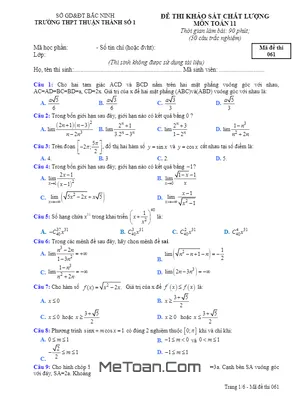 Đề khảo sát chất lượng môn Toán 11 trường THPT Thuận Thành 1 - Bắc Ninh