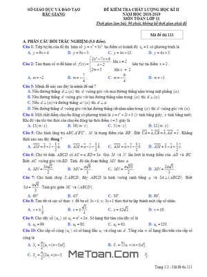 Đề kiểm tra học kì 2 Toán 11 năm 2018 - 2019 sở GD&ĐT Bắc Giang
