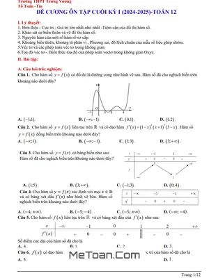 Đề Cương Ôn Tập Cuối Kì 1 Toán 12 Năm 2024 - 2025 Trường THPT Trưng Vương - Bình Định