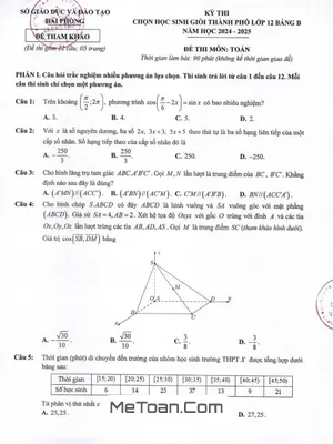 Đề tham khảo học sinh giỏi Toán 12 năm 2024 - 2025 sở GD&ĐT Hải Phòng