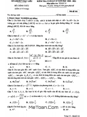 Đề thi học kì 2 Toán 11 năm 2020 - 2021 Sở GD&ĐT Bạc Liêu (có đáp án)