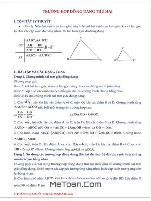 Chuyên Đề Trường Hợp Đồng Dạng Thứ Hai Tam Giác Lớp 8