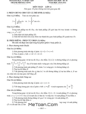 Đề thi HK2 môn Toán lớp 12 Sở GD&ĐT Đà Nẵng năm 2010 - 2011