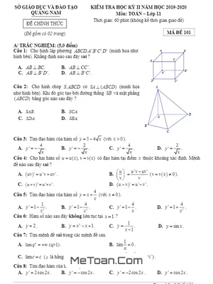 Đề thi học kỳ 2 Toán 11 năm học 2019 - 2020 sở GD&ĐT Quảng Nam