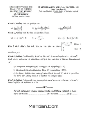 Đề thi giữa kì 2 Toán 11 năm 2020 - 2021 trường THPT Tân Túc - TP HCM