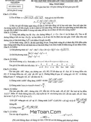 Đề thi chọn học sinh giỏi Toán 9 năm học 2024 - 2025 sở GD&ĐT Thái Bình