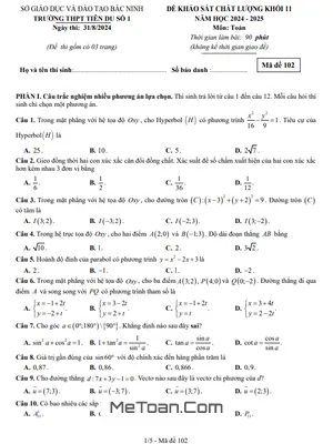 Đề khảo sát Toán 11 năm 2024 - 2025 trường THPT Tiên Du 1 - Bắc Ninh