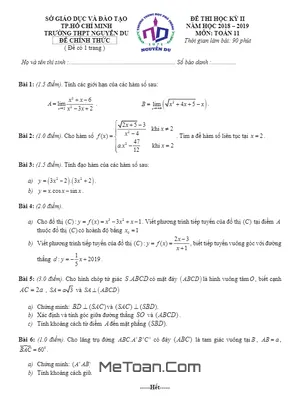 Đề thi học kỳ 2 môn Toán lớp 11 năm 2018 - 2019 trường THPT Nguyễn Du - TP.HCM
