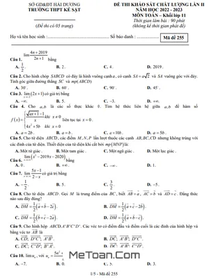 Đề khảo sát Toán 11 lần 2 năm 2022 - 2023 trường THPT Kẻ Sặt - Hải Dương