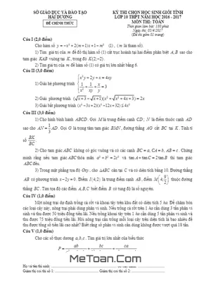 Đề thi chọn học sinh giỏi tỉnh môn Toán 10 năm học 2016 - 2017 Sở GD&ĐT Hải Dương