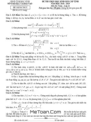 Đề thi chọn HSG cấp tỉnh Toán 11 năm 2018 - 2019 sở GD&ĐT Bắc Ninh
