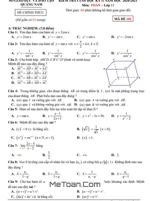 Đề thi Toán 11 cuối kỳ 2 năm 2020 - 2021 Sở GD&ĐT Quảng Nam