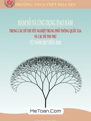 Hàm Số Và Ứng Dụng Đạo Hàm Trong Đề Thi THPT Môn Toán (2017 - 2020)