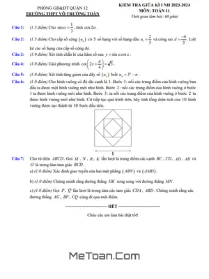 Đề Thi Giữa Kì 1 Toán 11 Năm 2023 - 2024 Trường THPT Võ Trường Toản - TP.HCM
