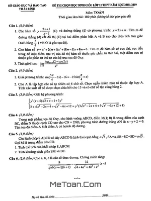 Đề thi chọn học sinh giỏi Toán 12 THPT năm 2018 - 2019 sở GD&ĐT Thái Bình